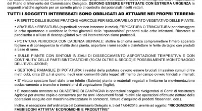 Piano di intervento per il contenimento della diffusione del COMPLESSO DEL DI...