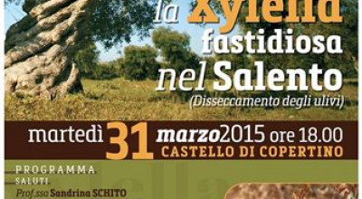 CONVEGNO  LA XYLELLA FASTIDIOSA NEL SALENTO (Disseccamento degli ulivi)